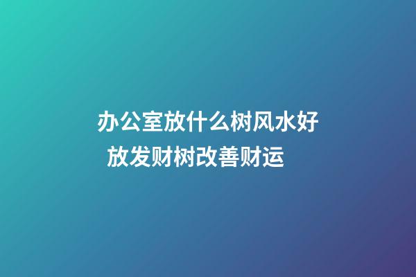 办公室放什么树风水好  放发财树改善财运